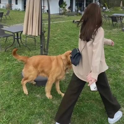 大侦探波洛第十季