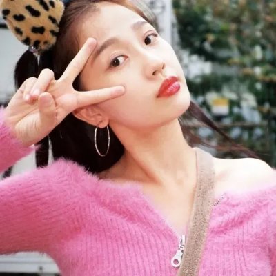 完美的独裁国家